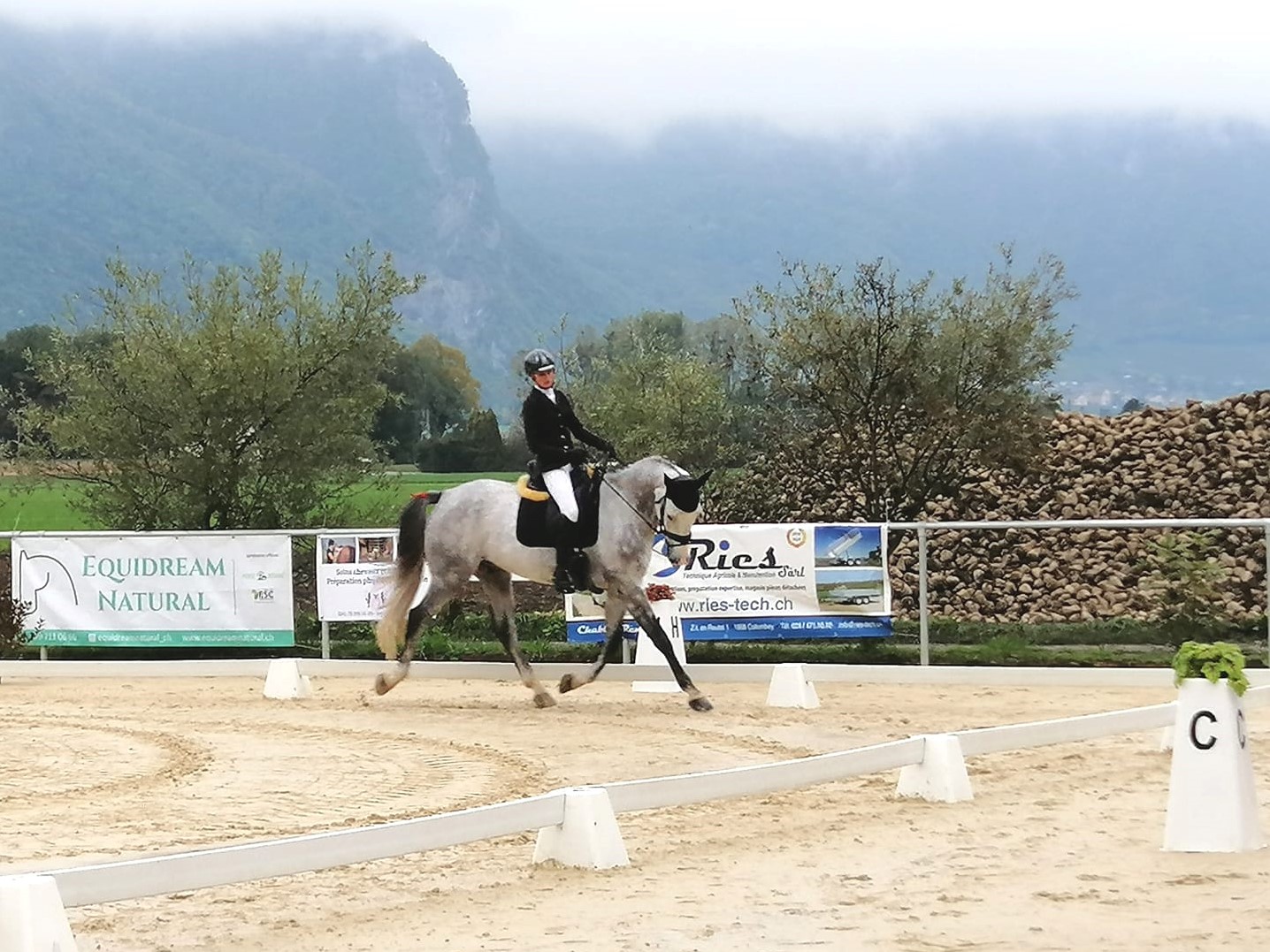 Hippisme: Illarsaz accueillera pour la 1ère fois les championnats romands de dressage ce week-end